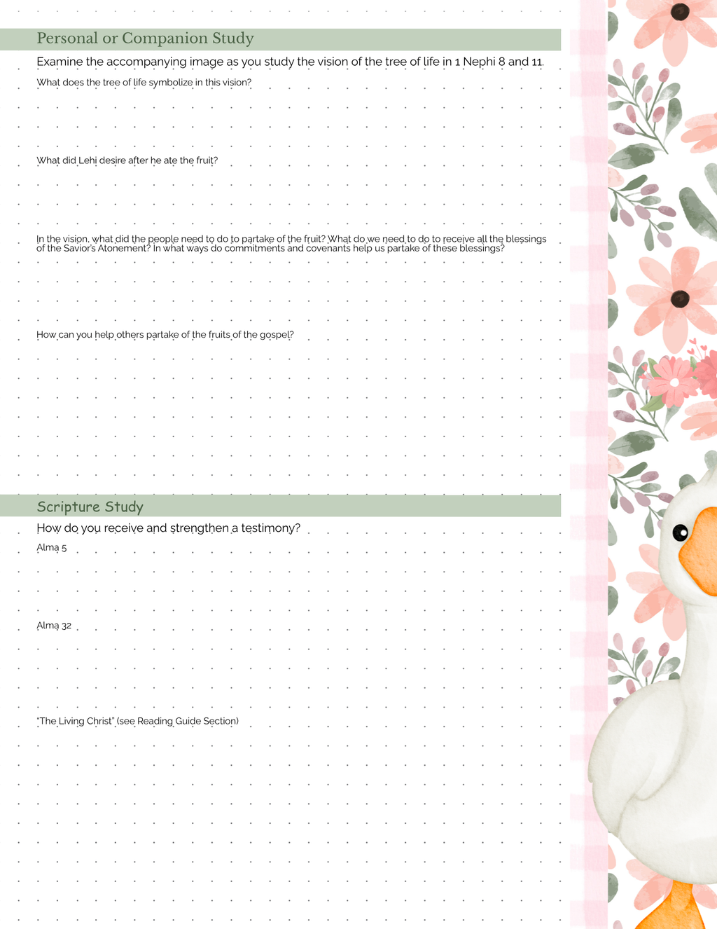 Missionary Study Journal - Goose Gingham Design - Spiral - RS Format