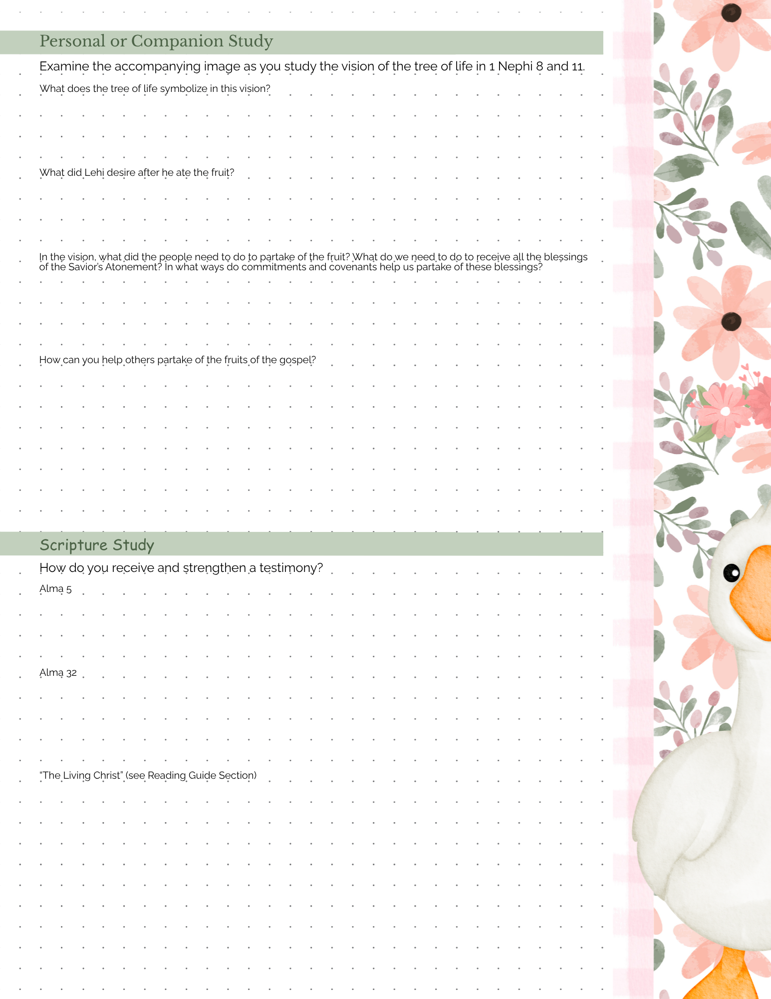 Missionary Study Journal - Goose Gingham Design - Spiral - RS Format